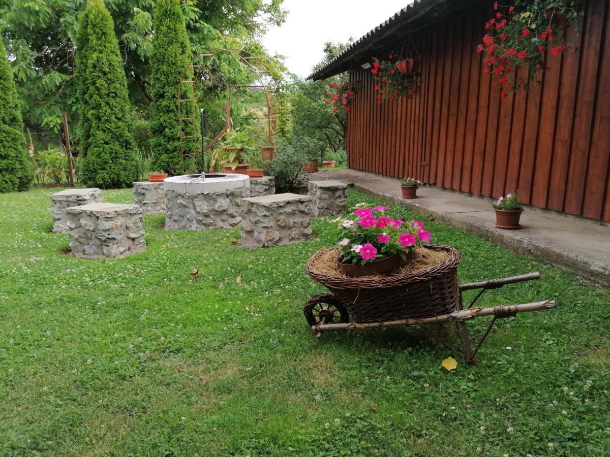 Hotel Apatsaguti Vendeghaz Belapatfalva Zewnętrze zdjęcie